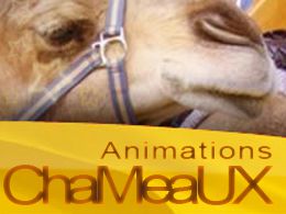 Location chameau Location chameau